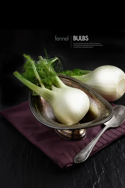 Fennel Bulbs II — Stock Photo, Image