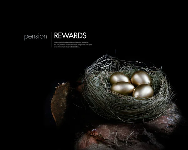 Pension Nest Egg — Stock Photo, Image