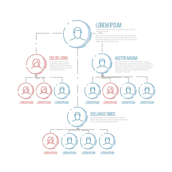 公司管理层次架构模板 — 图库矢量图片