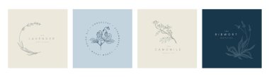 Minimalist çiçekli amblem işareti şablon koleksiyonu düğün davetiyeleri için basit çiçek ve yapraklardan yapılmış ürün baskısı veya amblem işareti
