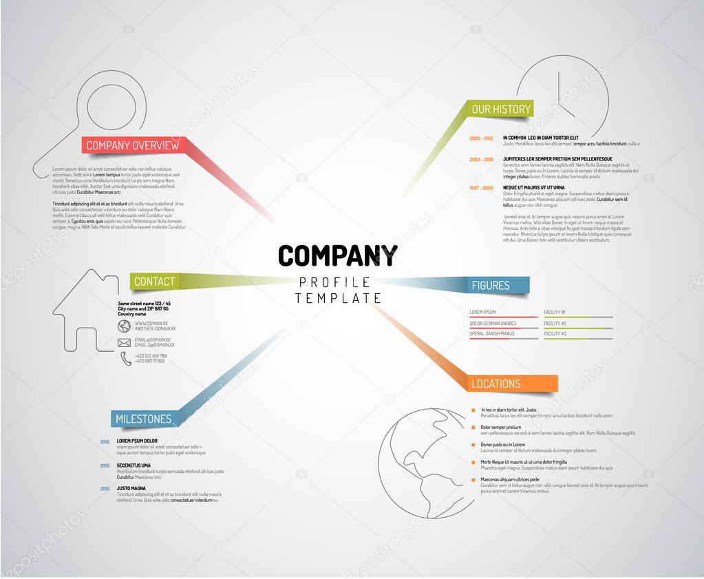 Company infographic overview design template