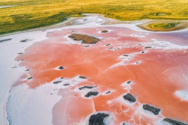 Kalmykia 'da pembe göl. Tuz bataklığında pembe ve beyaz tuz. İnanılmaz bir doku yapısı var.
