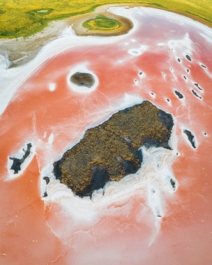 Kalmykia 'da pembe göl. Tuz bataklığında pembe ve beyaz tuz. İnanılmaz bir doku yapısı var.