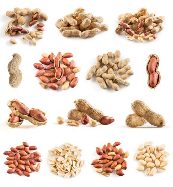 Fıstık koleksiyonu