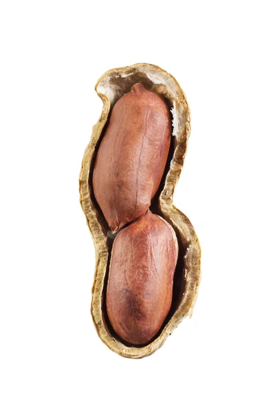 Offene Erdnuss auf weiß — Stockfoto