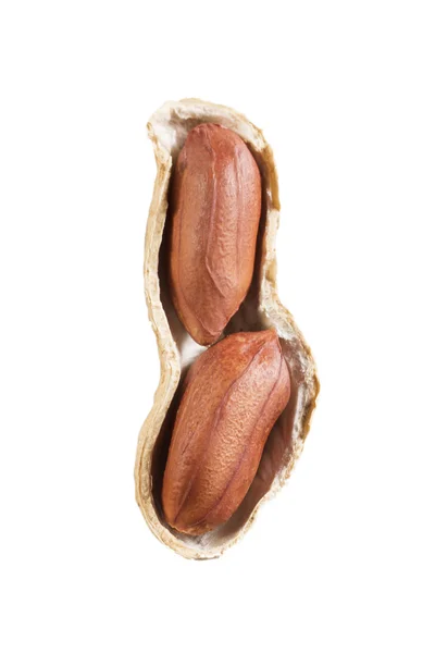 白で隔離されたピーナッツ — ストック写真