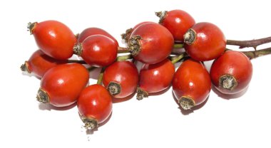Rose hips beyaz