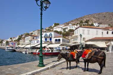 Yolcu gemisi approching liman