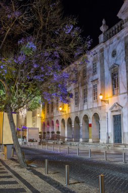 Faro merkezi şehrin kentsel park