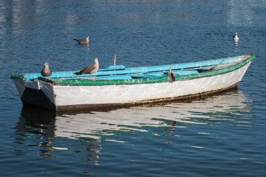 Martılar ile bağlantılı tekne.