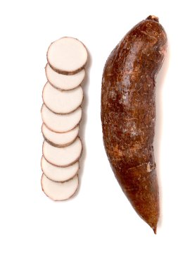 Cassava root isolated on a white background clipart