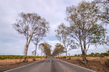 Güzel kırsal uzun asfalt yolda