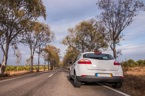 Carro de equitação na bela paisagem . — Fotografia de Stock