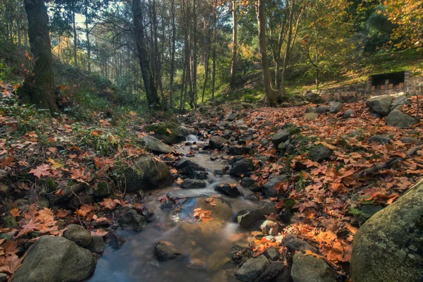 Belle rivière dans la région montagneuse de Monchique — Photo