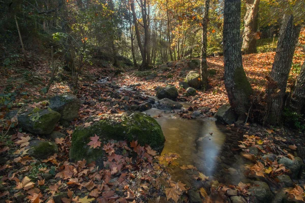 Belle rivière dans la région montagneuse de Monchique — Photo