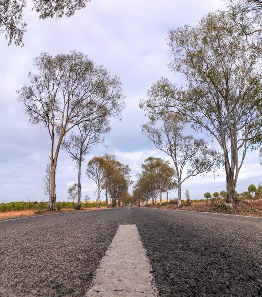 Lunga strada asfaltata sulla splendida campagna — Foto Stock