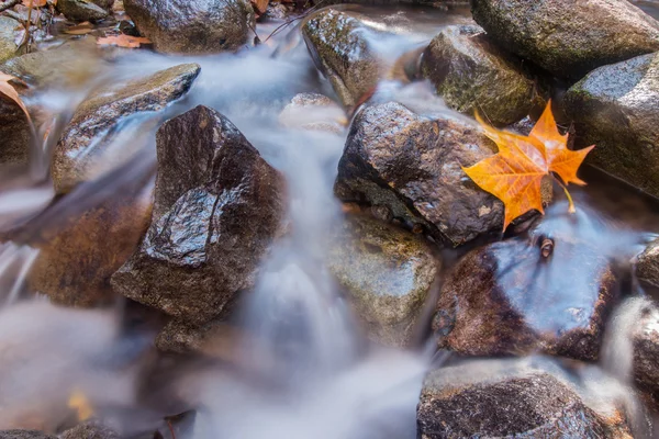 Beautiful river in mountain region of Monchique — Stock Photo, Image