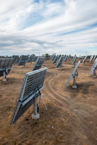 Field of solar panels gathering energy — Stock Photo, Image