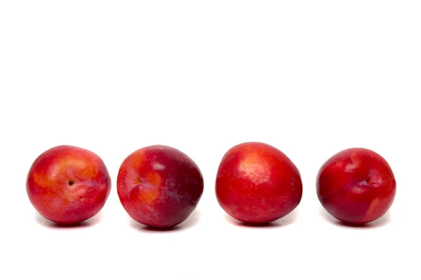 Gustosi frutti di prugna rossi — Foto Stock
