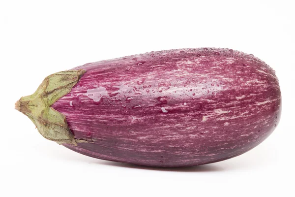 Eggplant isolerad på en vit bakgrund. — Stockfoto