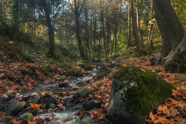 Belle région de montagne fluviale de Monchique — Photo