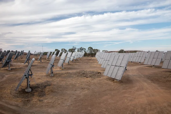 Field of solar panels gathering energy — Stock Photo, Image