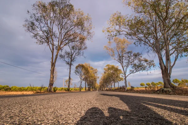 Długo asfalt na pięknych krajobrazów — Zdjęcie stockowe