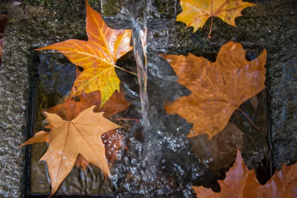 Водосховища річки восени — стокове фото