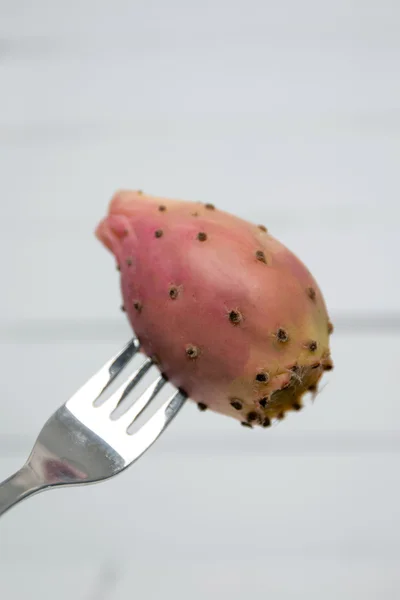 Opuntia ficus-indica buah kaktus — Stok Foto