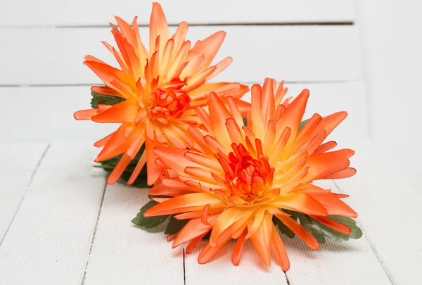 偽のオレンジ色の花 — ストック写真