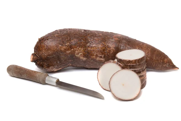 Cassava root isolated on a white background — Stock Photo, Image