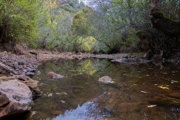 Hermosa corriente fluvial en Benemola, Portugal . —  Fotos de Stock