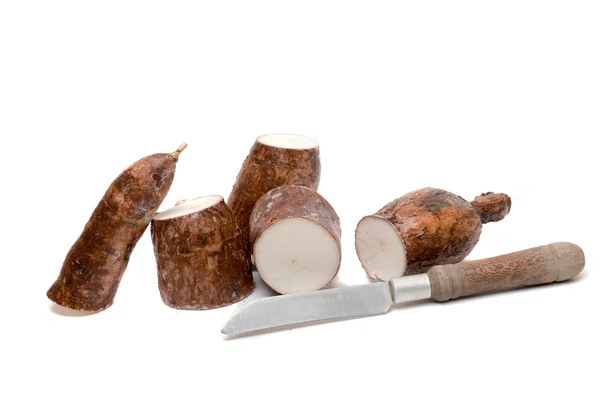 Racine de manioc isolée sur fond blanc — Photo