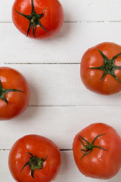 Tomates rojos aislados en blanco — Foto de Stock