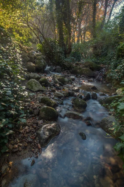 Beautiful river mountain region of Monchique — Stock Photo, Image