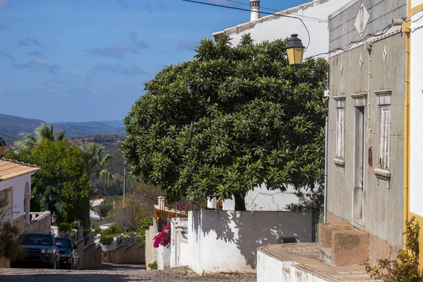 Mispel Auf Einer Städtischen Straße Dorf Querenca Portugal — Stockfoto
