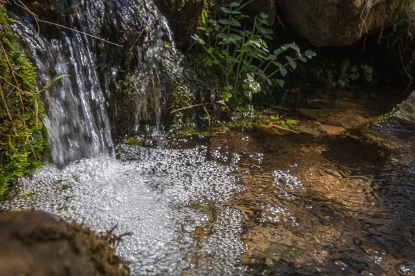 新鮮な川の水が植生や石で溢れ — ストック写真