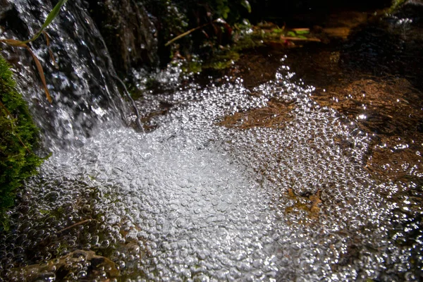 Acqua Dolce Del Fiume Che Scorre Primo Piano Con Vegetazione — Foto Stock