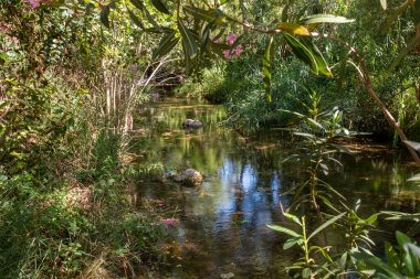 Benemola, Loule, Portekiz 'deki temiz bir su akışının görüntüsü.