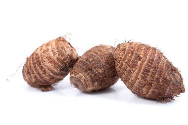 Taro korm kökleri beyaz arkaplanda izole.