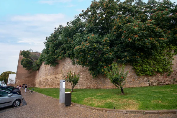 Veduta Del Famoso Muro Del Castello Storico Sulla Città Faro — Foto Stock