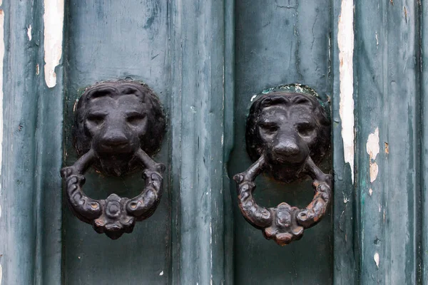 Close View Beautiful Detailed Doorknob Shape Lion — Stock Photo, Image