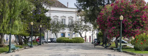 Vista Del Jardín Manuel Bivar Ciudad Faro Con Adoquines —  Fotos de Stock