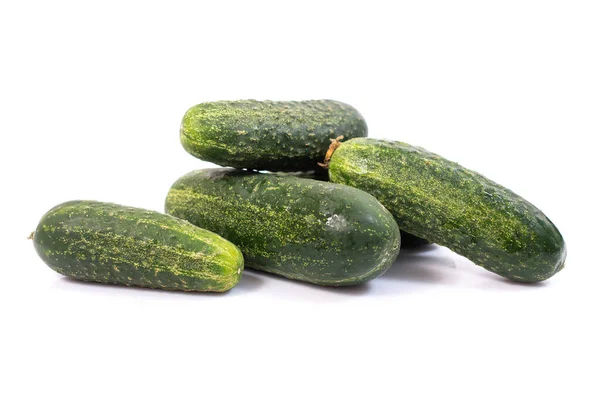 Ashley Cucumbers Variety Isolated White Background — Stock Photo, Image