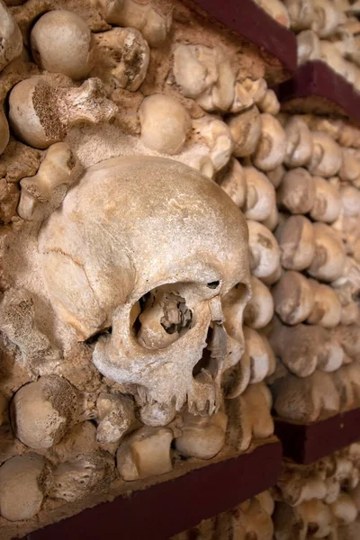 Close View Details Interior Church Carmo Chapel Bones Faro Portugal — Stock Photo, Image