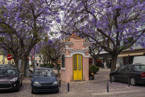 Jardim Plaza Perto Praça Carmo Praça São Pedro Cidade Faro — Fotografia de Stock