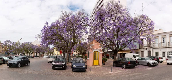 Plaza Garden Vicino Carmo Plaza Sao Pedro Plaza Nella Città — Foto Stock