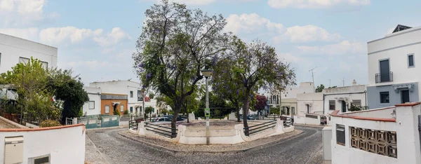 Vista Una Hermosa Tranquila Zona Residencial Urbana Cerca Escuela Secundaria — Foto de Stock