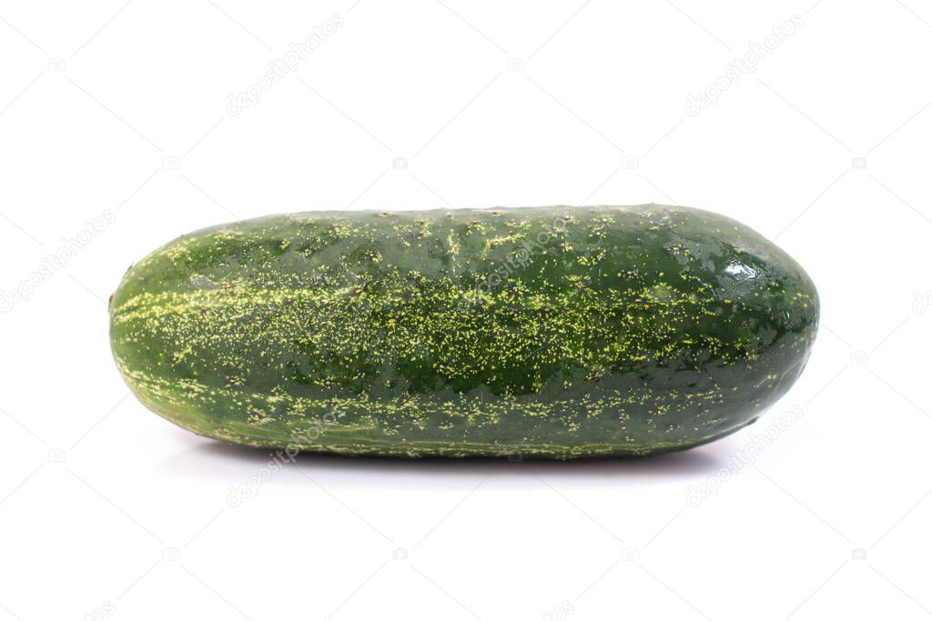 Ashley cucumber variety isolated on a white background.