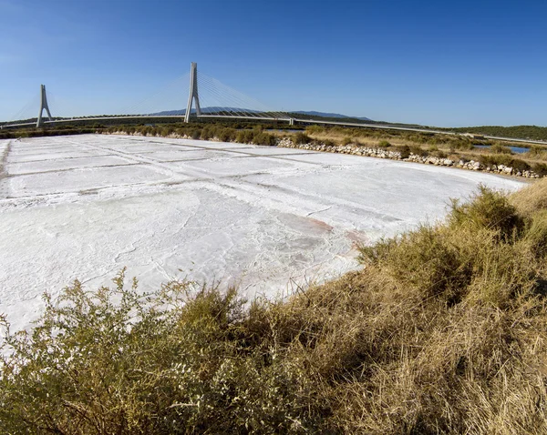 View of the iconic bridge — Stock Photo, Image